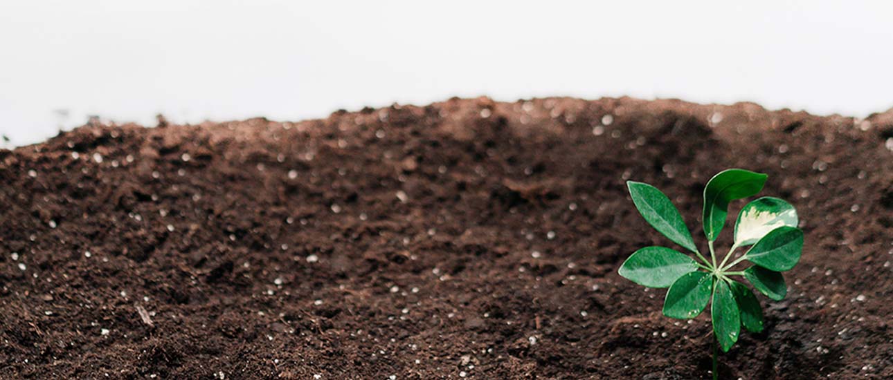  biodegradable vs compostable